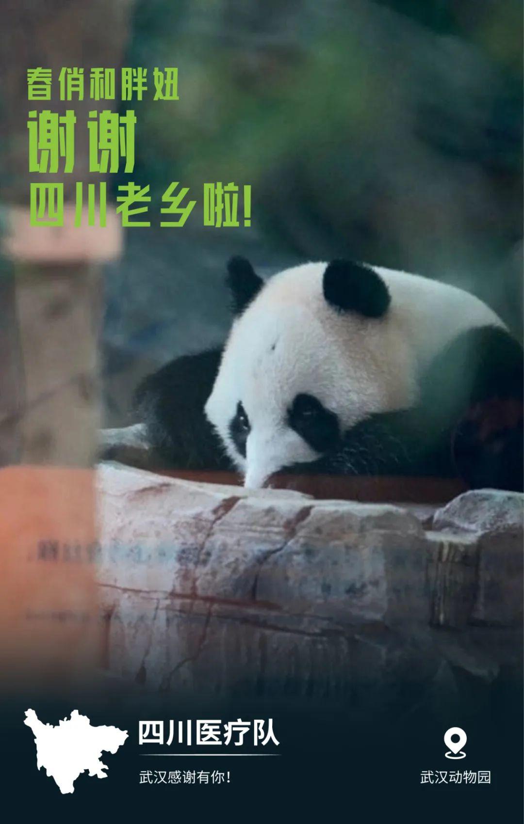 32張感恩海報刷屏!武漢這波操作太可以了 32張感恩海報刷屏!武漢這波操作太可以了