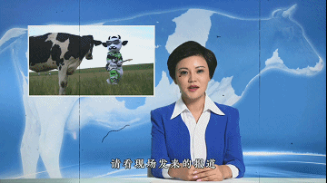 蒙牛唱了些心里話 蒙牛唱了些心里話