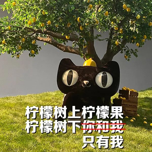 被天貓酸到了! 被天貓酸到了!