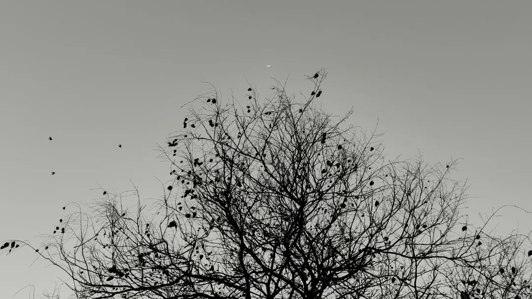 倪妮 x 姜文 ,都是什么神仙組合? 倪妮 x 姜文 ,都是什么神仙組合?