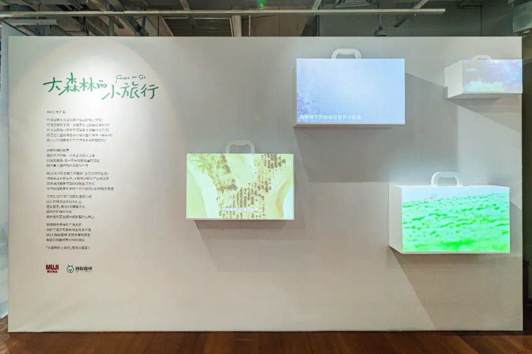 螞蟻森林和MUJI，把森林裝進了旅行箱