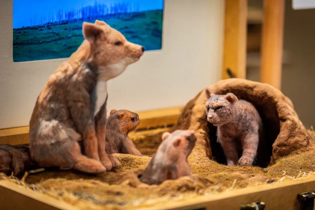 螞蟻森林和MUJI，把森林裝進了旅行箱