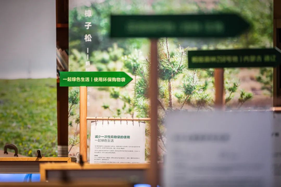 螞蟻森林和MUJI，把森林裝進了旅行箱