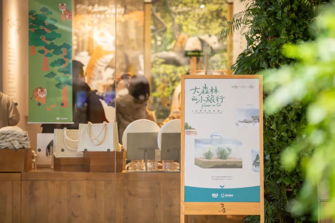 螞蟻森林和MUJI，把森林裝進了旅行箱