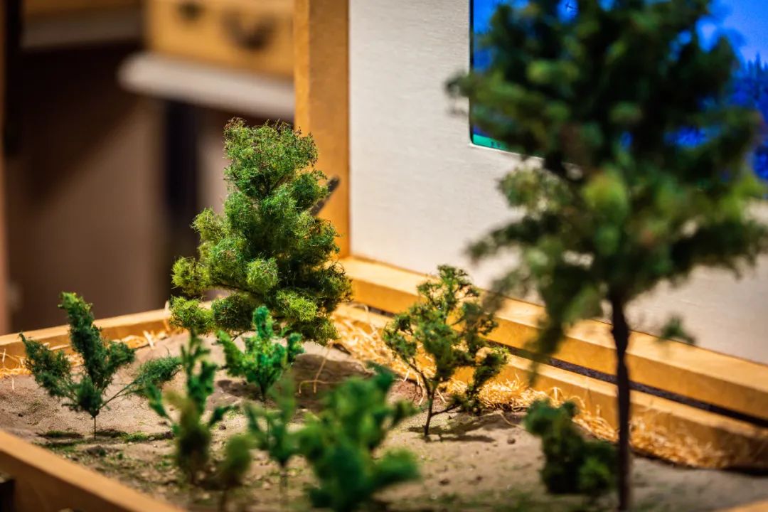 螞蟻森林和MUJI，把森林裝進了旅行箱