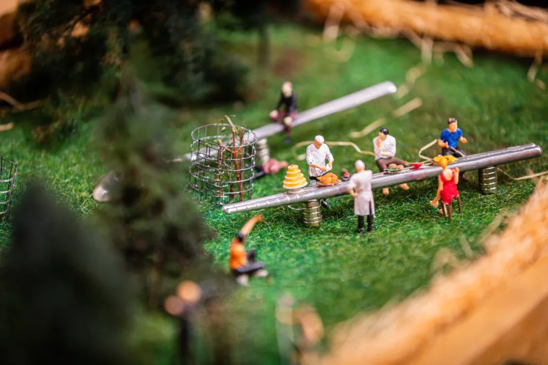 螞蟻森林和MUJI，把森林裝進了旅行箱